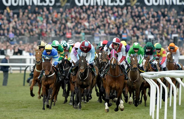 Cheltenham Betting Guide