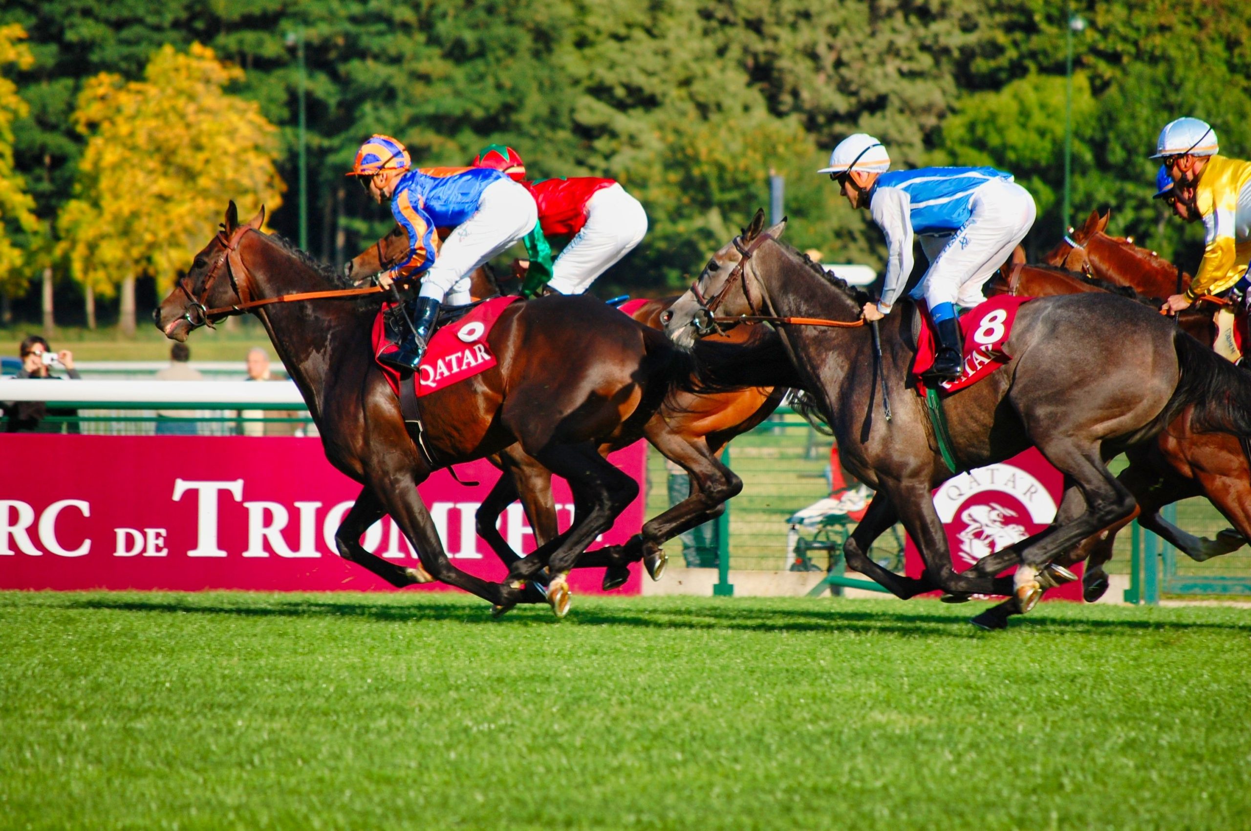 What is a Yankee Bet? Betting Guides