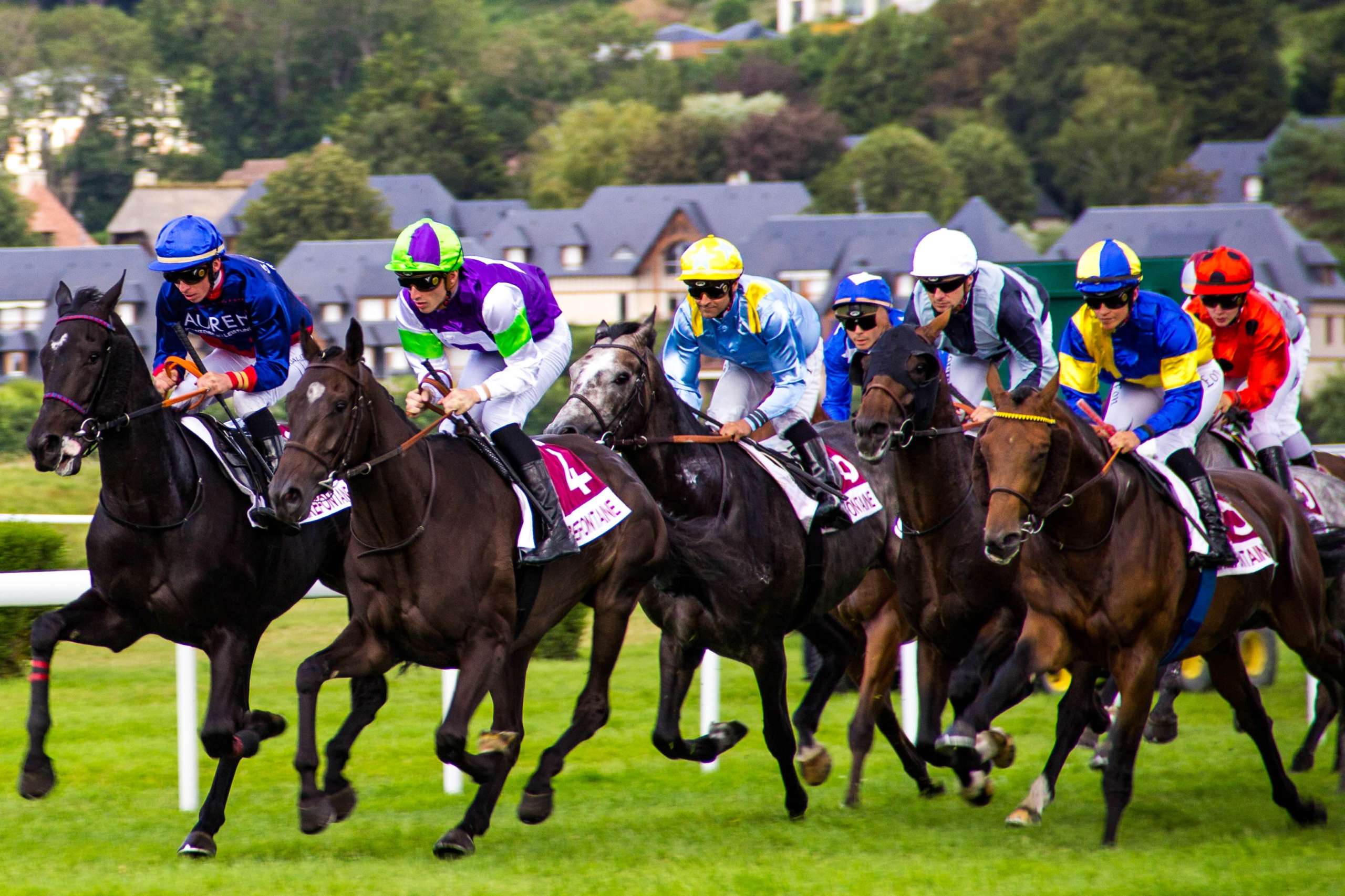 Galway Horse Racing Festival