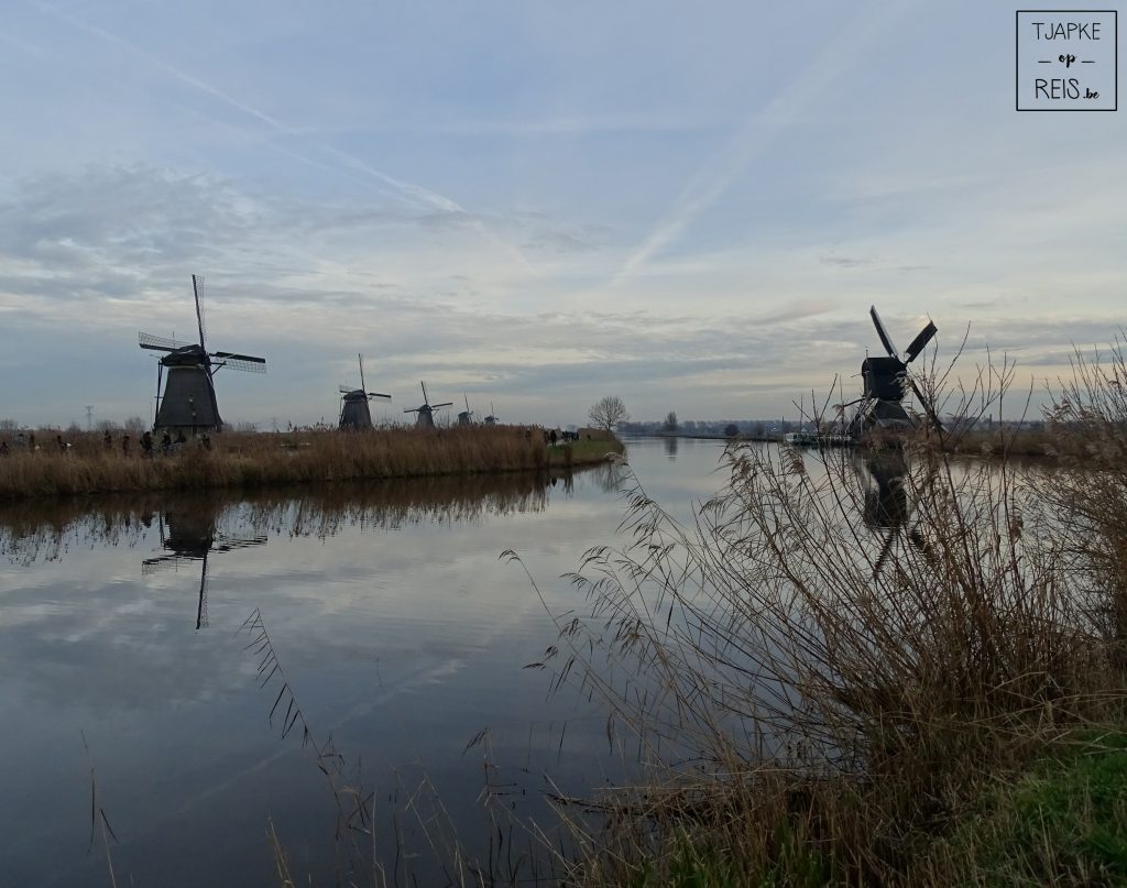 Kinderdijk