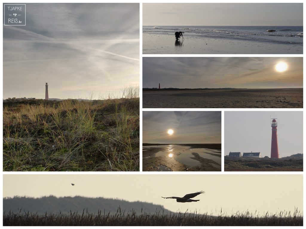 Strand Schiermonnikoog