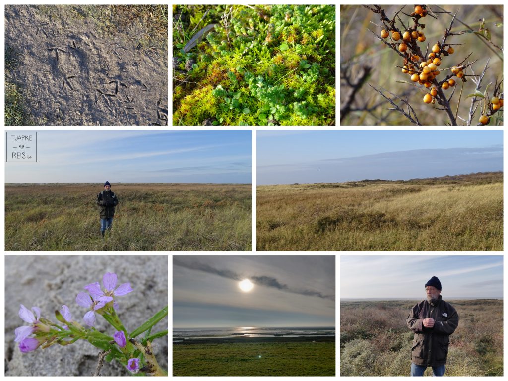 Duinenwandeling Schiermonnikoog