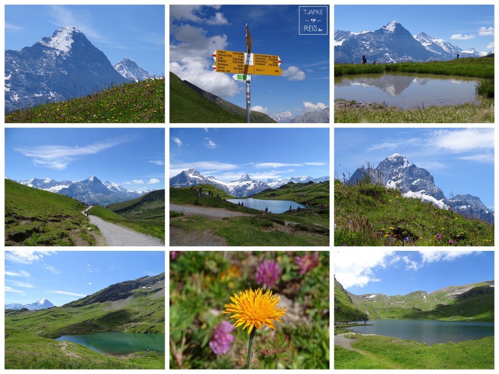 Bachalpsee