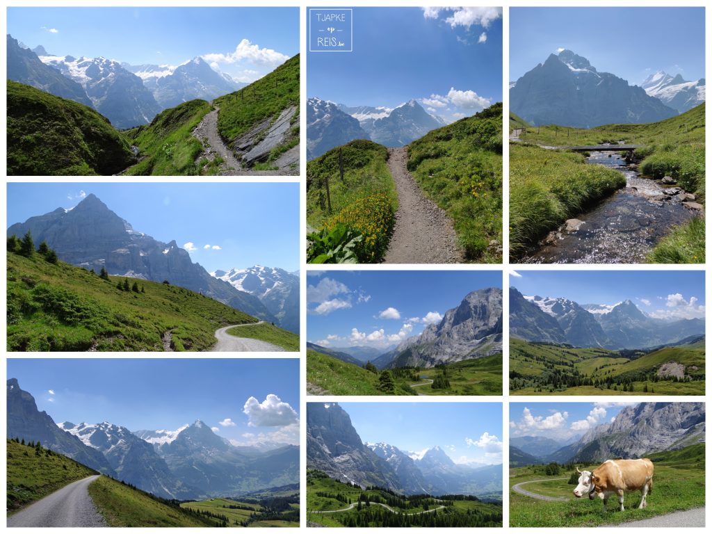 First - Grosse Scheidegg