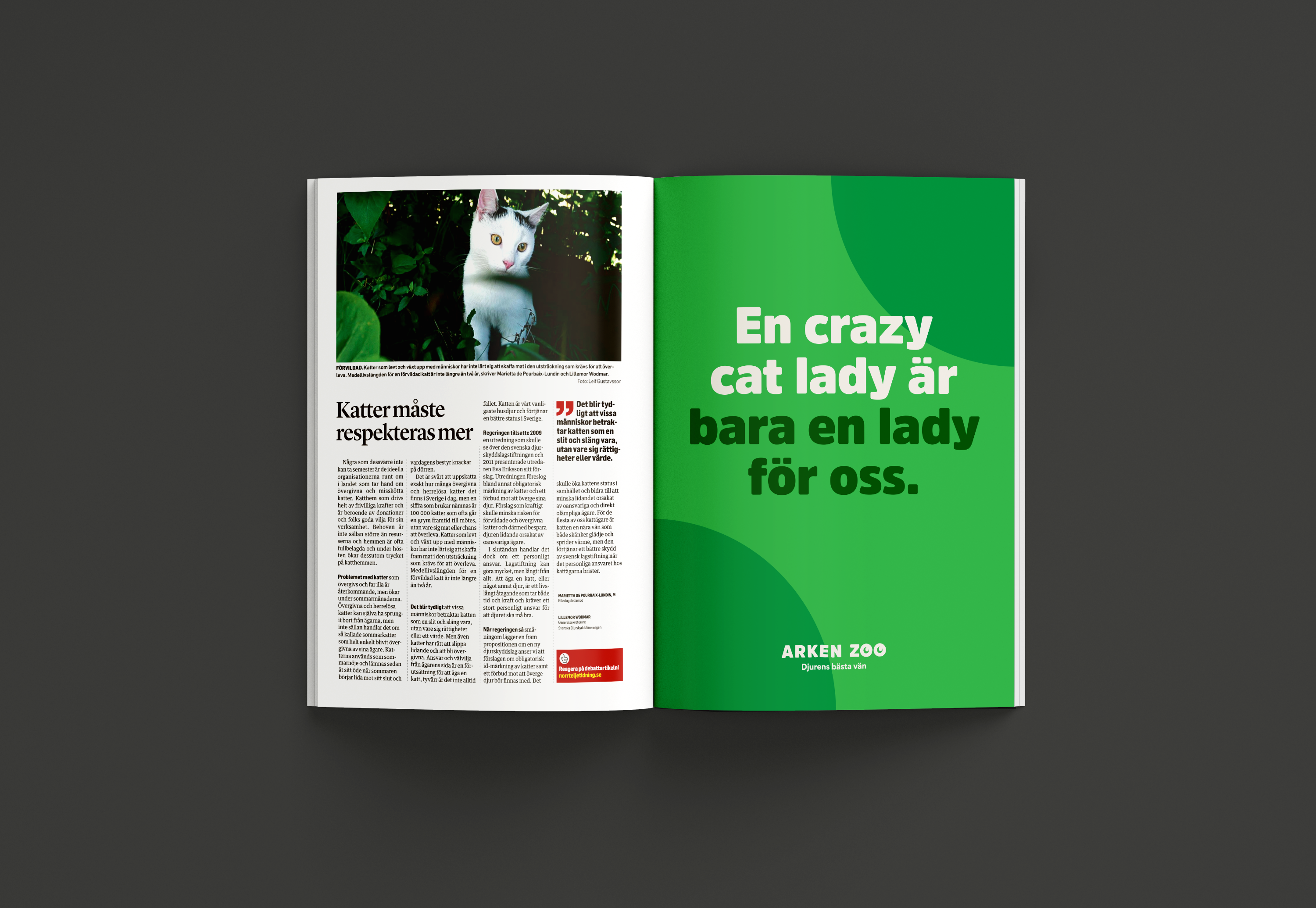 kattmagasin crop