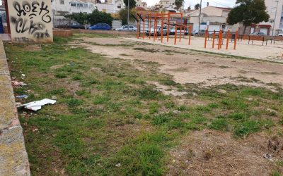 Carmona solicita el mantenimiento del entorno del parque de calistenia en Nueva Torrevieja.