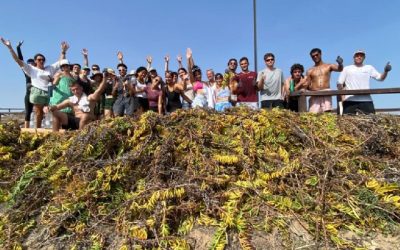 ¡Una experiencia de aprendizaje internacional en la naturaleza! 