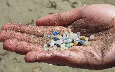 La Contaminación por microplásticos llena también el Mediterráneo.