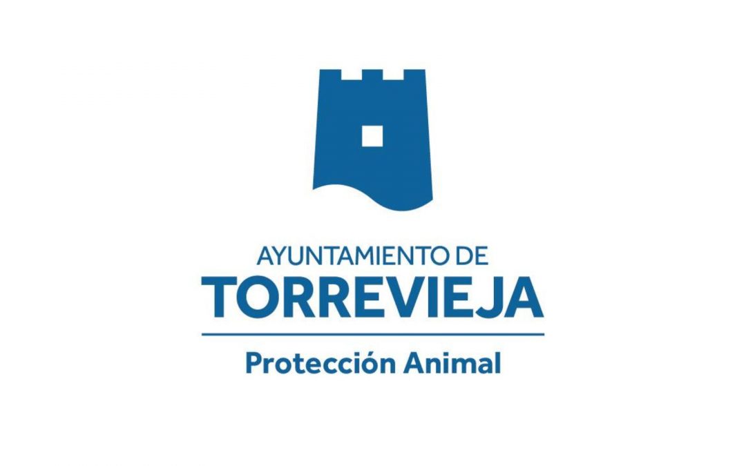 Modificaciones necesarias en proyecto de albergue animal por nueva ley de protección.