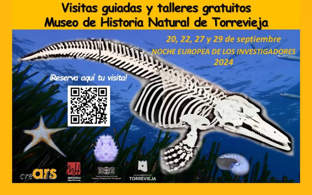 Visitas guiadas y talleres del Cerebro en el Museo de Historia Natural por la Noche Europea de los Investigadores