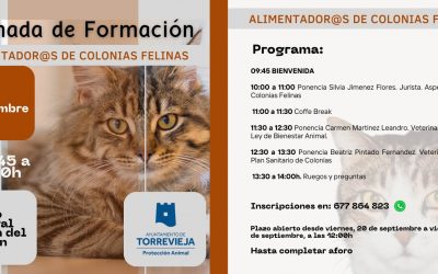 Jornada de Formación: Alimentación de Colonias Felinas, organizada por la Concejalía de Protección Animal