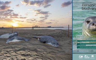 Tiburones y Rayas protagonizaron la primera charla de las jornadas de biodiversidad de la UA y Faunatura.