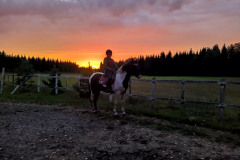 Lektion i solnedgången på Maverick på Tolboda gård