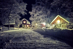 Lucia på Tolboda