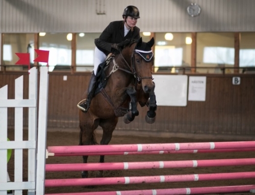 OMEGA K ERÖVRADE SIN FÖRSTA ROSETT