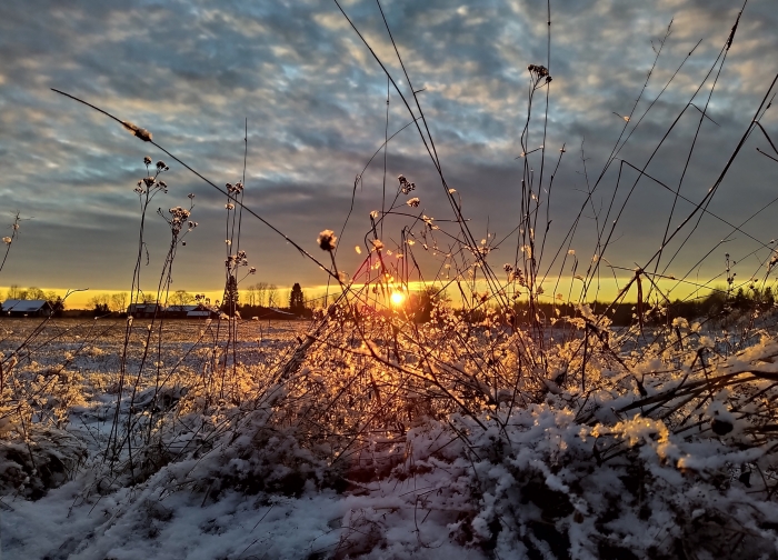 The Gloaming Hour