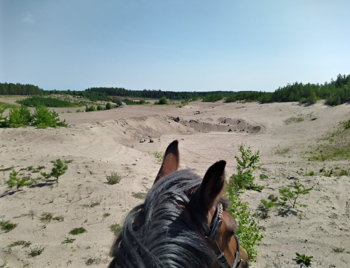 ROLIGA RITTER I SANDTAGSMILJÖ