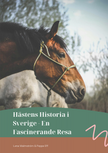 Bok -Hästens historia i Sverige