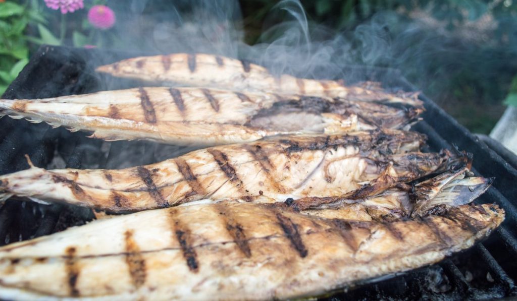7 godaste fiskarna att grilla under sommaren – Tollans Fisk