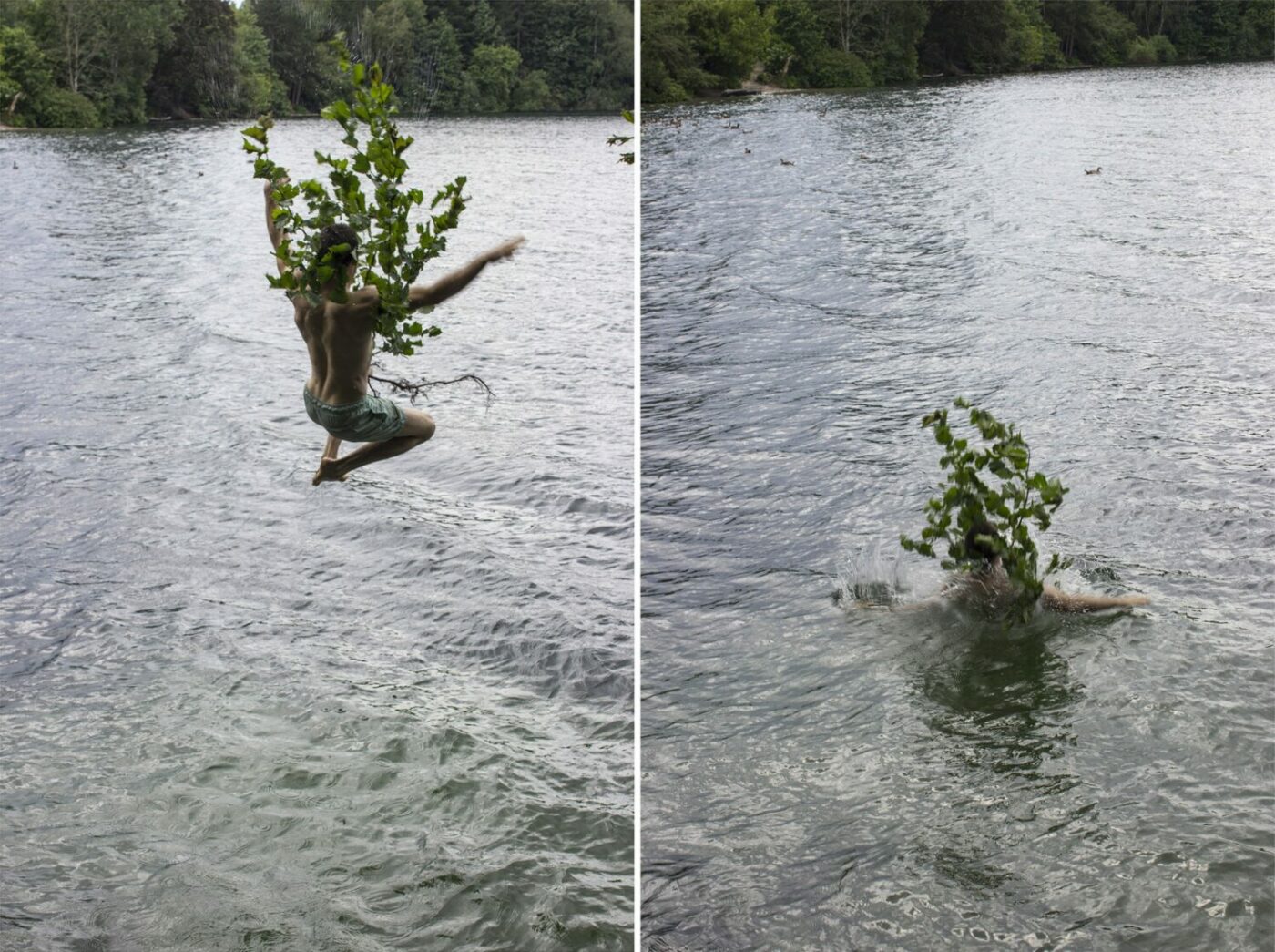 Jukai-Ryokō, jumping into the water with a hazel bush, inkjet print on Hahnemühle, dimensions variable, 2020