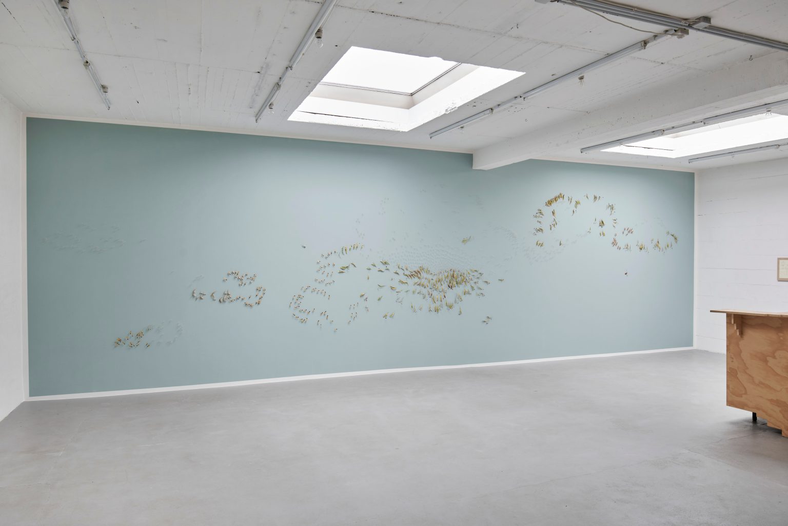 Tomas Kleiner / Homepage › Tomas Kleiner