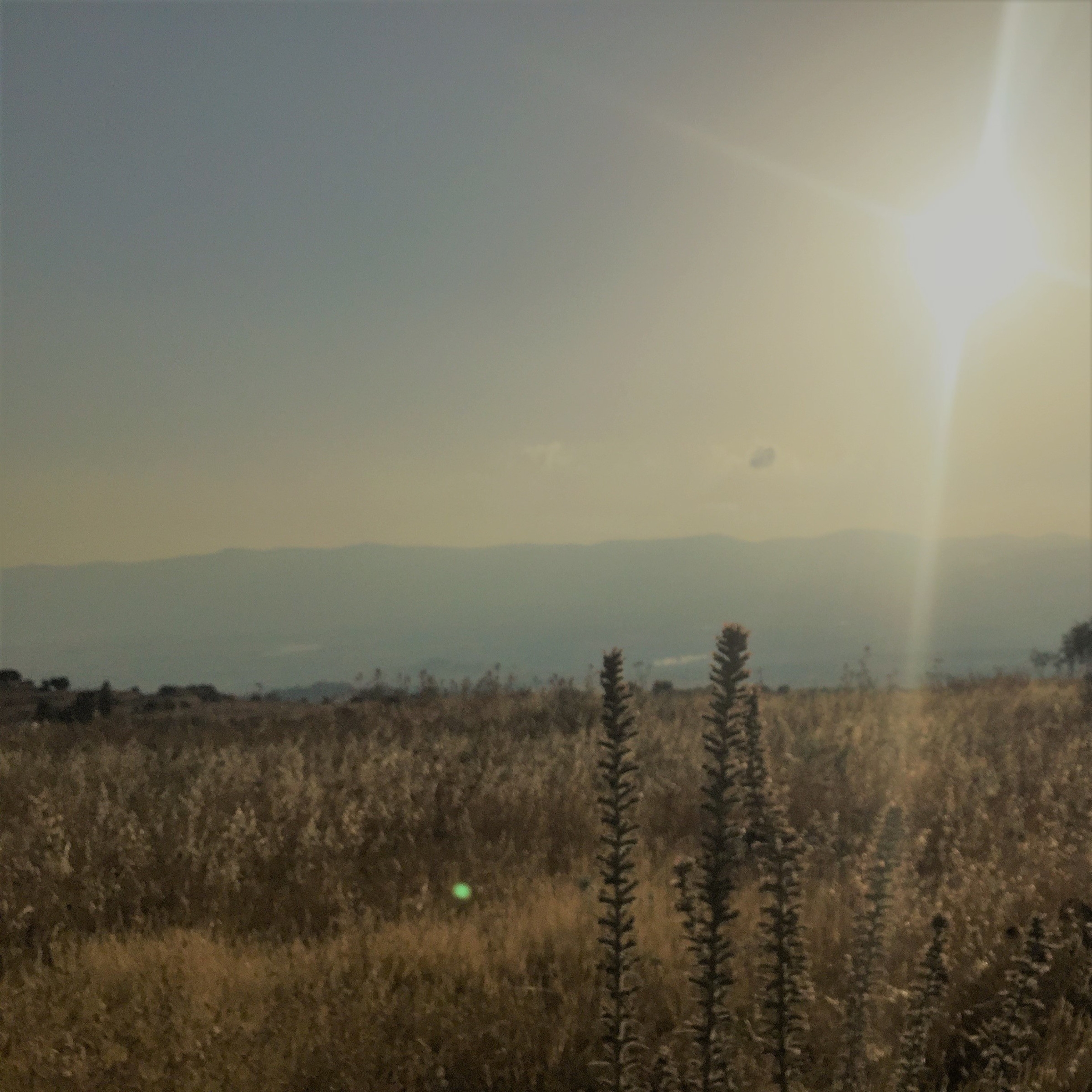 GOLAN