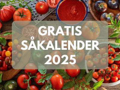 Tomatbild med texten gratis såkalender 2025