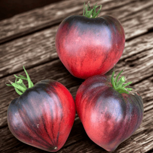 Sergeant Pepper Pink Tomato