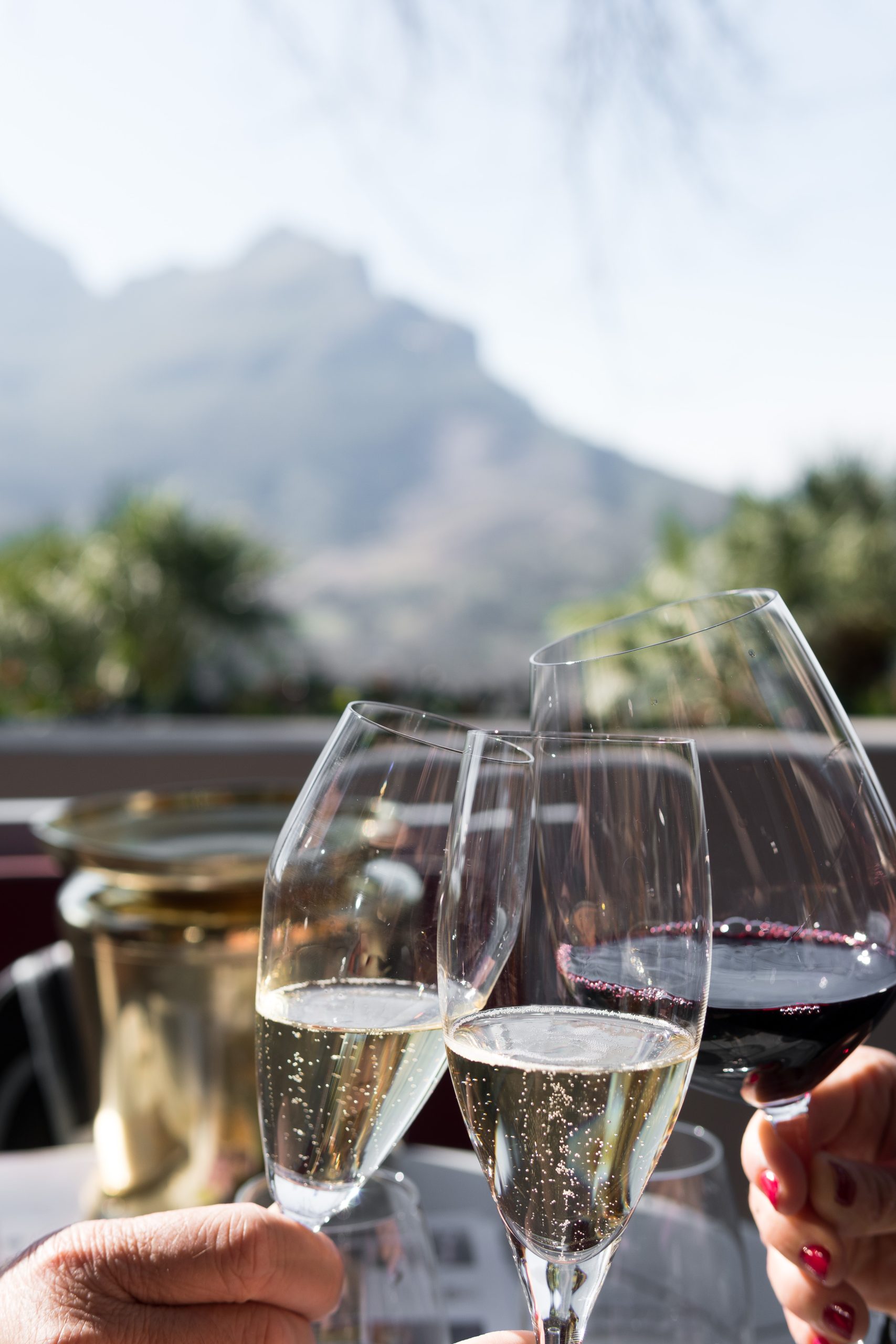 Wine tasting Stellenbosch