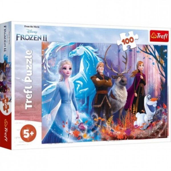 Puzzle Disney Frozen 100 pieces puzzle frozen 2