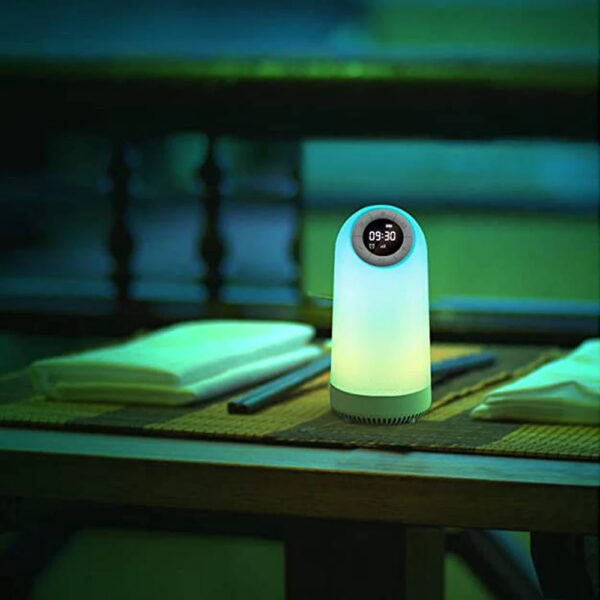 Multifunctional Smart LED Bedside Lamp and BT Speaker- USB Charging_9