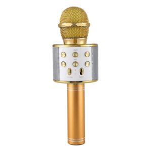 Portable Wireless Karaoke Microphone- USB Charging_0