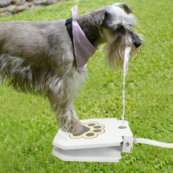 Cat and Dogs Step on Drinking Water Dispenser_4