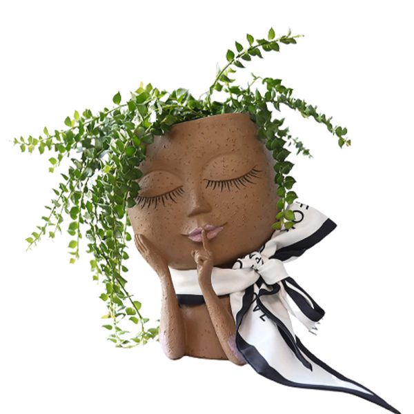 Unique Face Planters Pot for Indoor Outdoor Plants with Drainage Hole_3