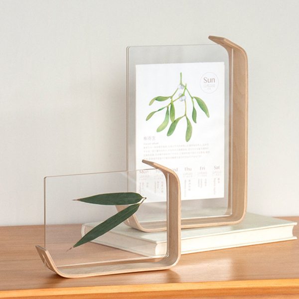 6 Inches Minimalistic Creative Acrylic Home Decoration Herb Photo Frame_3