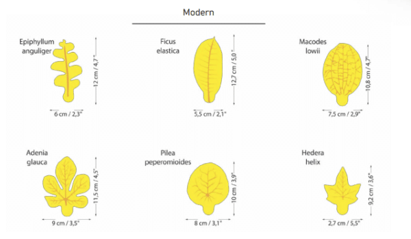 Moderne - regular søt Leaves - Plantefælde