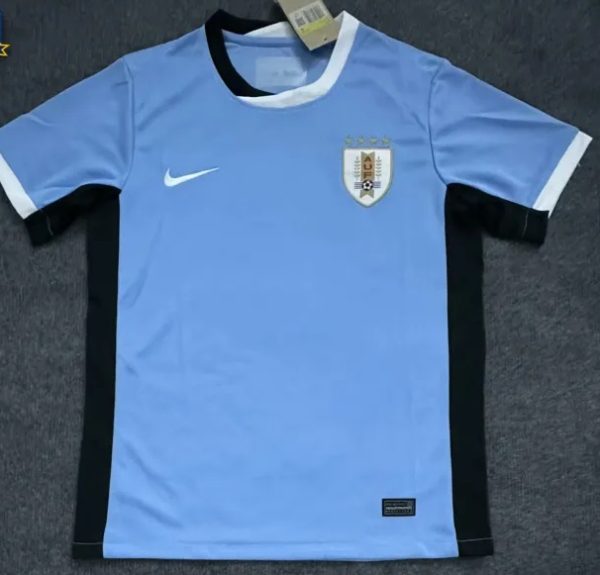 Uruguay 2024 Copa America Home Man Jersey