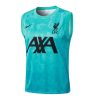 Liverpool Training Jersey 24/25