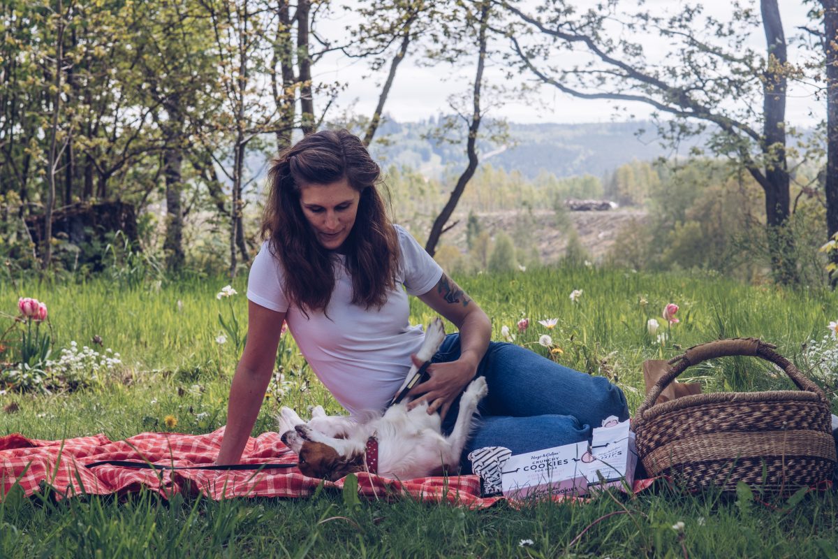 picknick med hund