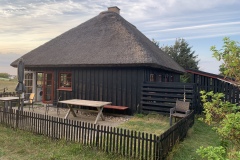 Den sydvendte terrasse