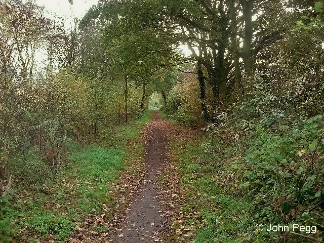 Much easier walking along this stretch.