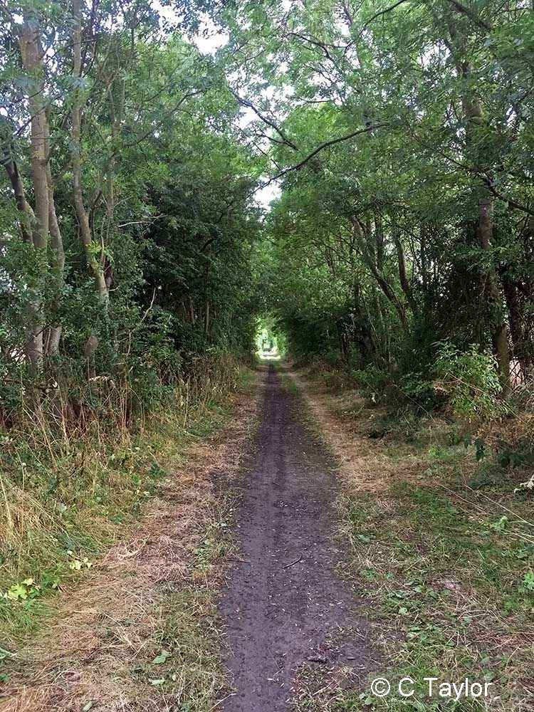 The branch continues south east from Bridge No. 7 towards Casthorpe Junction, where the line to quarries at Harlaxton diverged.