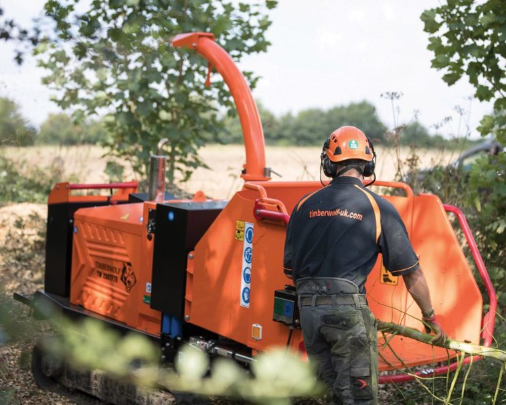 Bästa arboristen i {{mpg_omrade}} inom {{mpg_tjanst}}