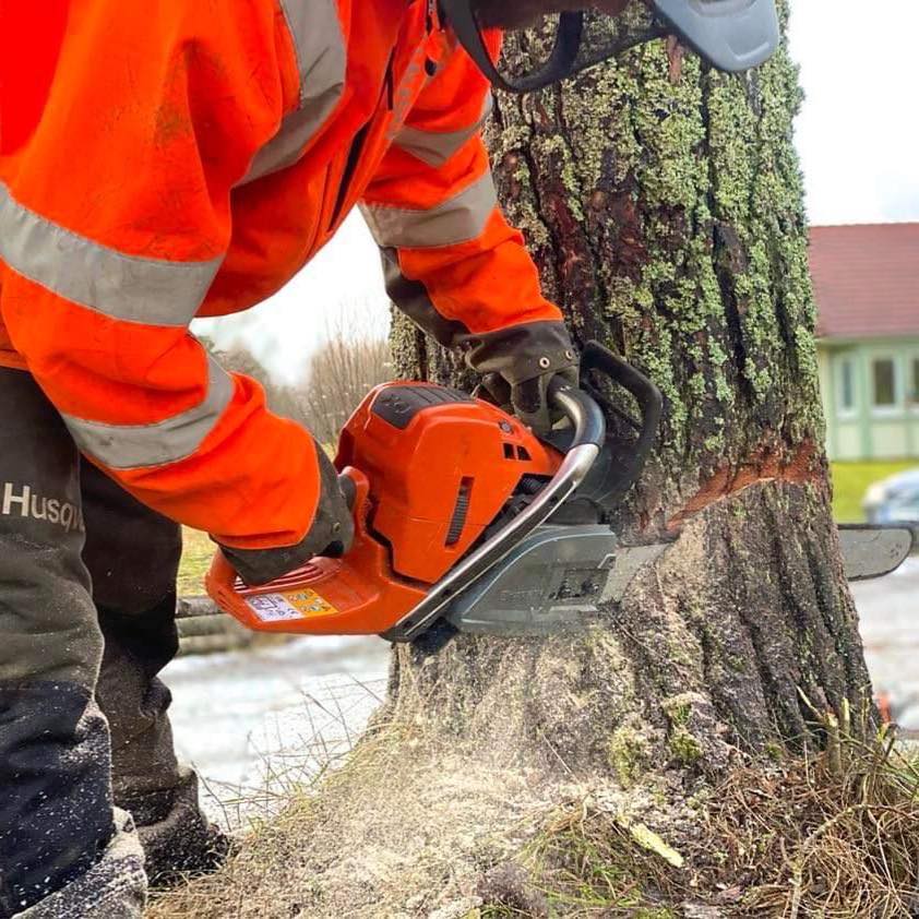Specialiserade på {{mpg_tjanst}} i {{mpg_omrade}}