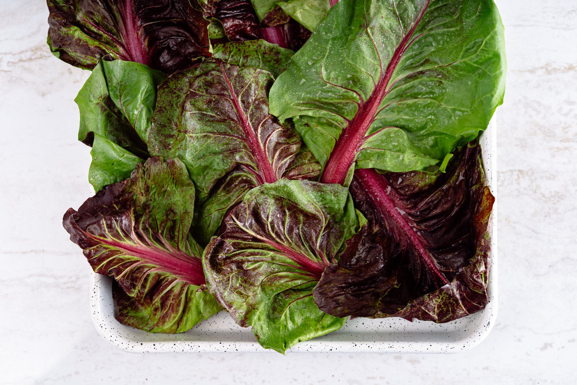 leaves of chard