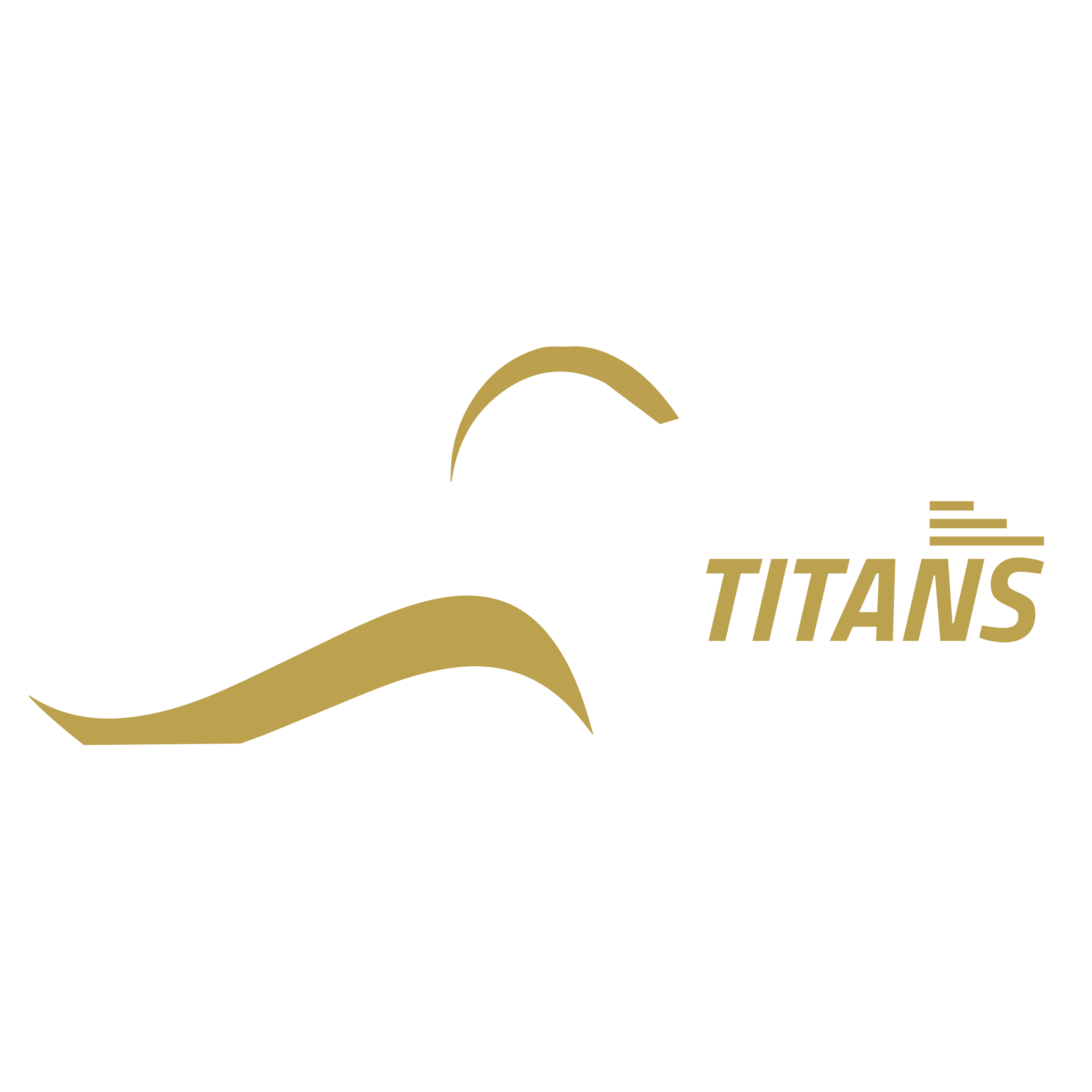 Trading Titans Ltd
