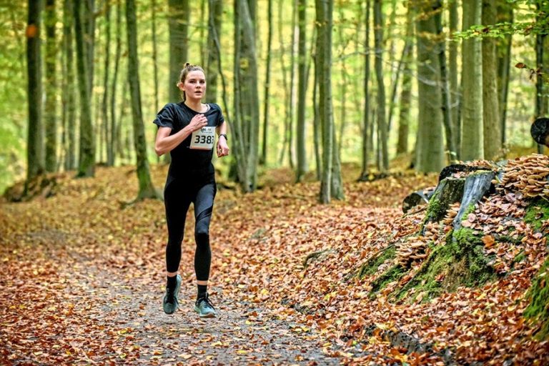 courir dans la forêt de Soignes de Bruxelles en octobre et en avril