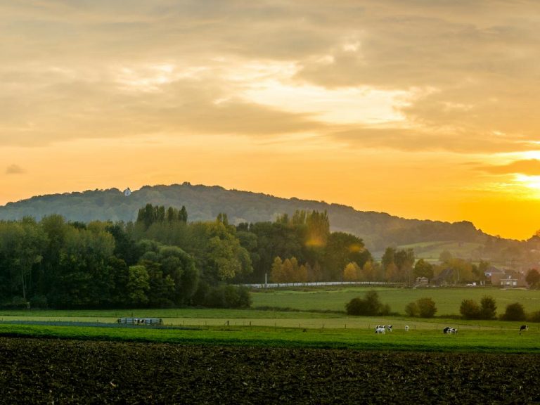 Inschrijven Kemmelberg Trail vanaf 20 maart met 10 euro korting