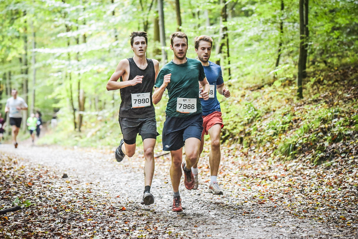 30KM door het zoniënwoud