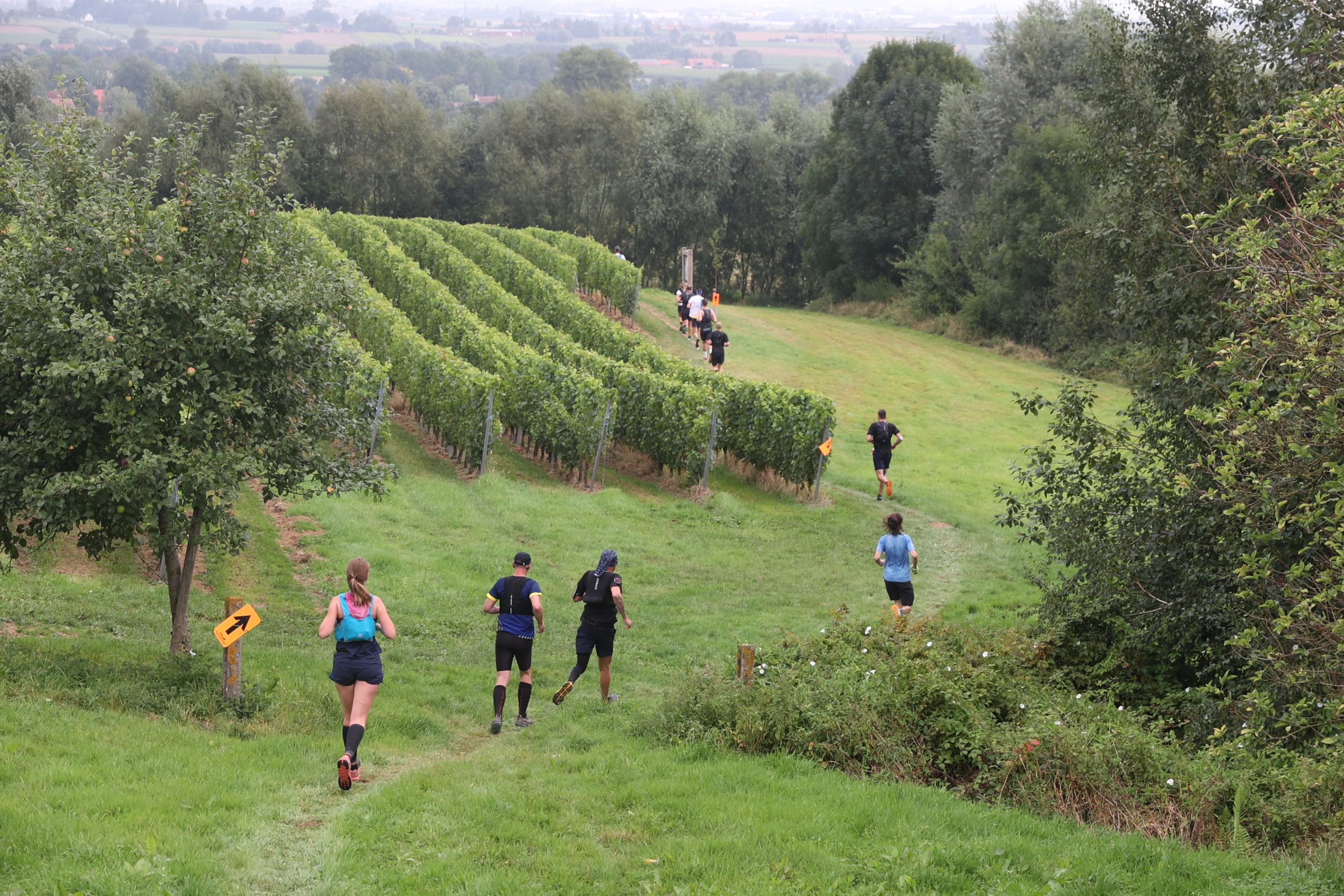 Kemmelberg Trail